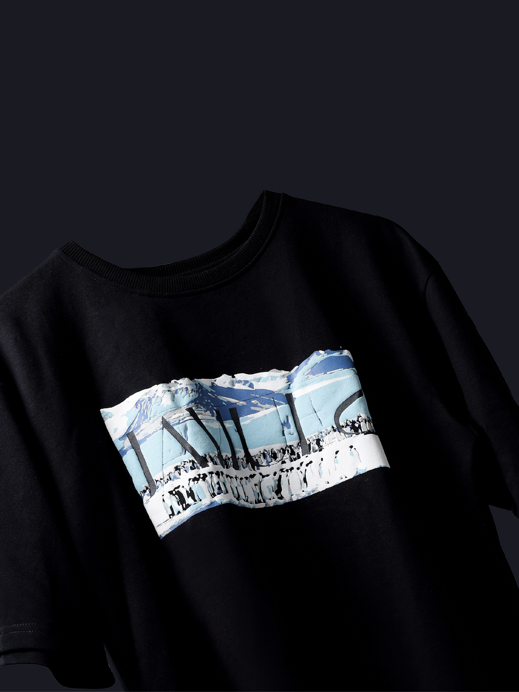 Black antarctic emperor oversized t-shirt on a dark background.