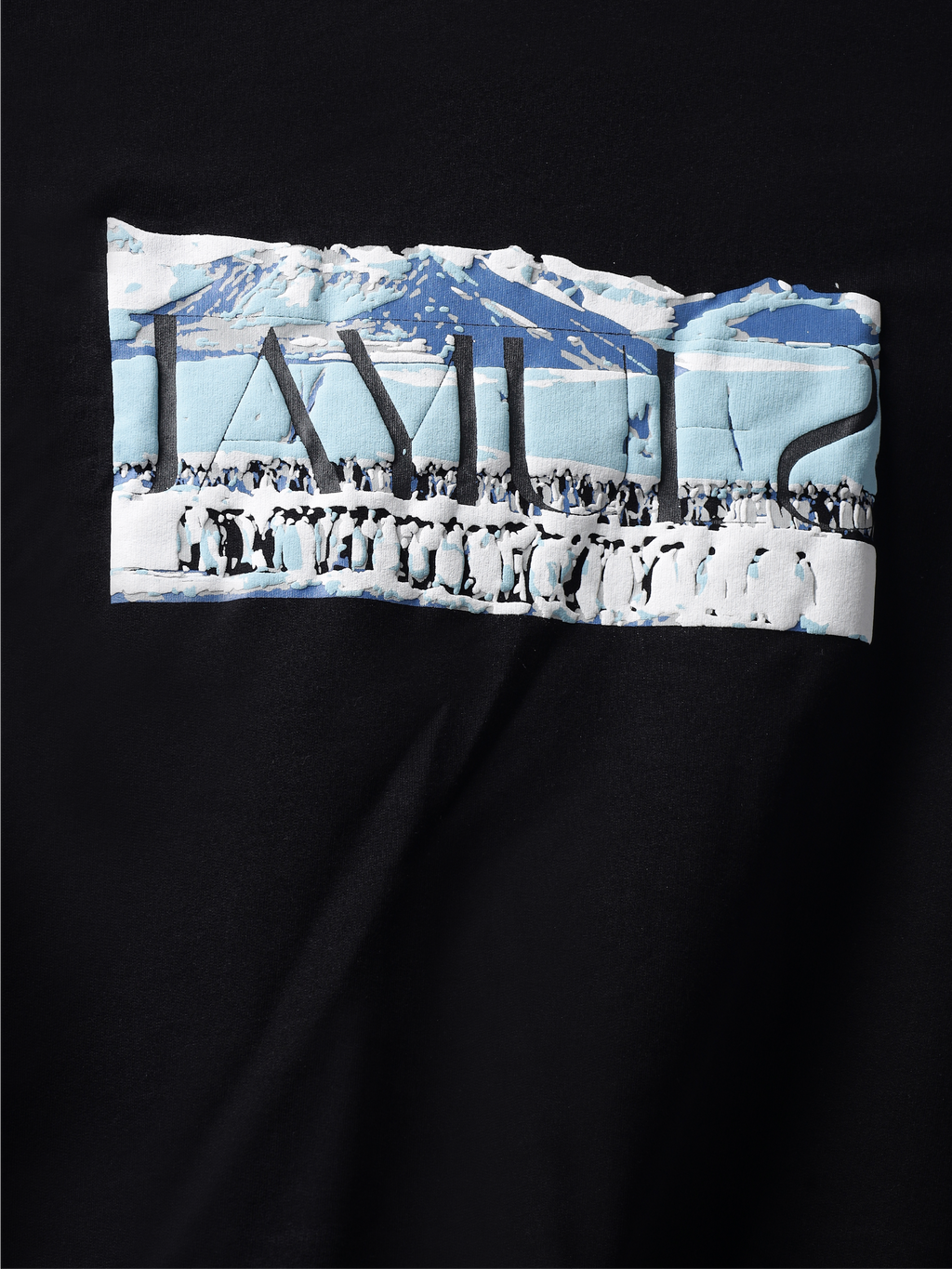 Front closeup of Black antarctic emperor oversized t-shirt.