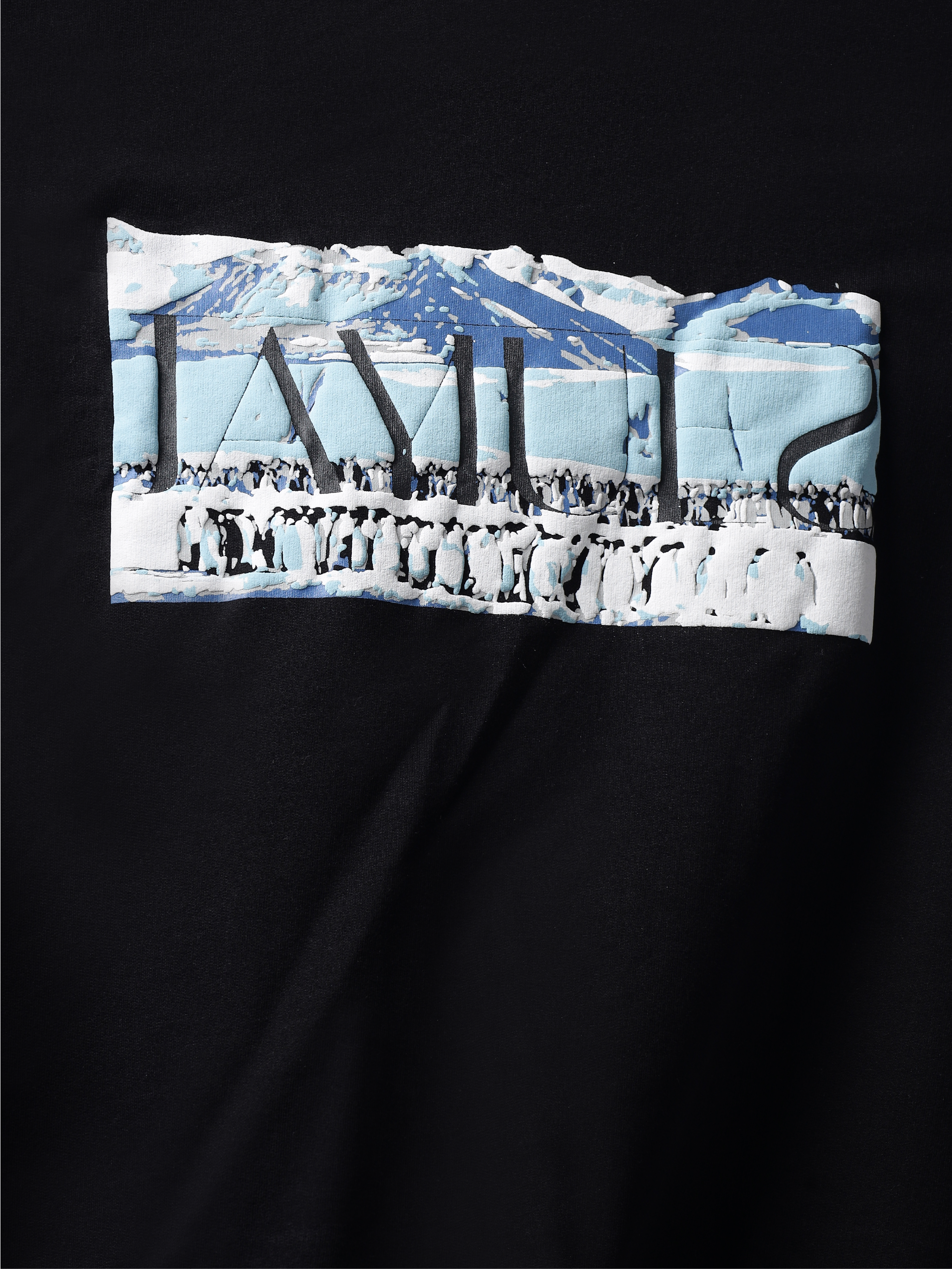Front closeup of Black antarctic emperor oversized t-shirt.